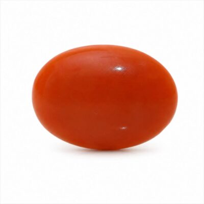 Red Coral ( Munga )
